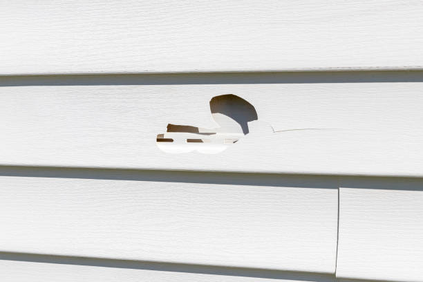Best Property Management Cleanouts  in Westchester, IL